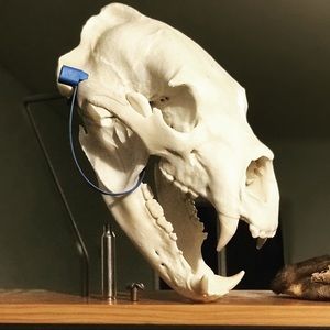 Meet your Posher, James